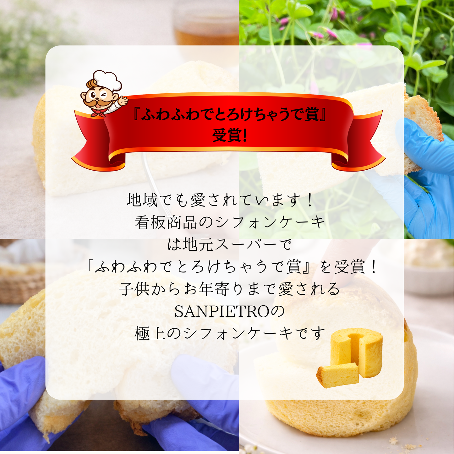 人気セット6品のお試しセット|【送料無料】