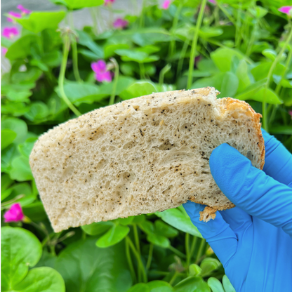 絹どけシフォンケーキ1個